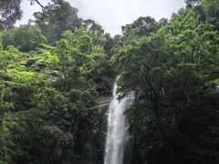 -莫里热带雨林景区