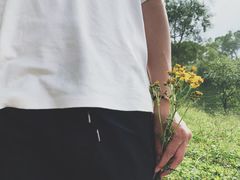 -关山草原