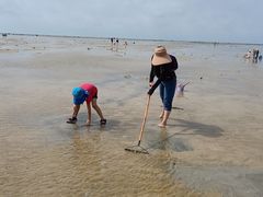 -北海金海湾红树林生态旅游区