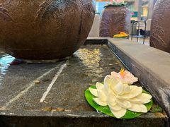 -龙泉人椰子鸡.糟粕醋.海南菜(三亚旗舰店)