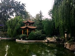 -山东大厦