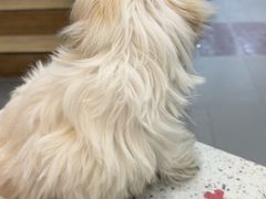 -联合动物医院(光谷诊疗中心)