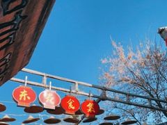 -渡海小渔村.老辈日照菜