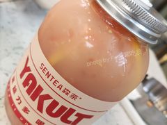 西柚益力多-森茶(湛江万达店)
