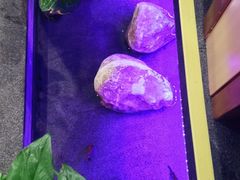 -九田家黑牛烤肉料理(衡百国际店)