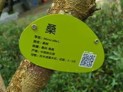 -云溪植物园