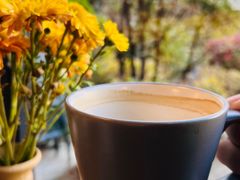 -蓝壁虎咖啡酒馆