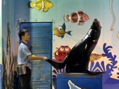 -太平洋海底世界