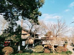 -西溪国家湿地公园