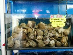 -蚝专家(北滘店)