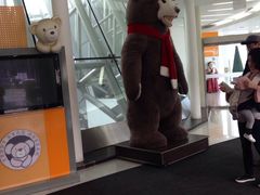 -济州岛泰迪熊博物馆