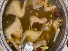-百利鸽王(紫薇路店)