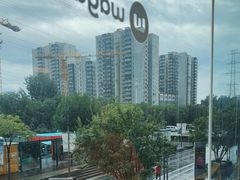 -Wagas沃歌斯(五道口购物中心店)