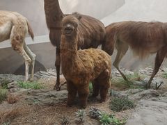 -长江文明馆
