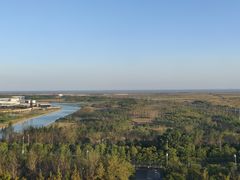 -上海市第六人民医院(临港院区)