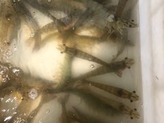 -四海鲜渔家菜(黄金海岸店)