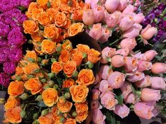 -双季花艺园艺市场(浦东店)