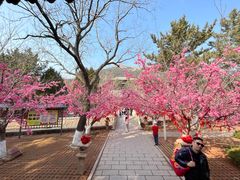 -石岛赤山风景区