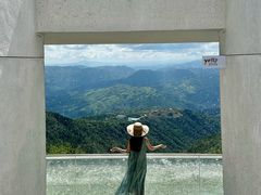 -玉苍山国家森林公园