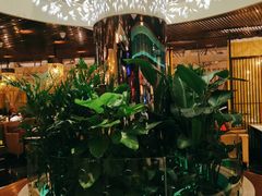 -润园四季椰子鸡火锅(海上世界店)