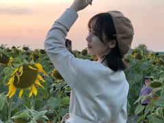 -映月湖中央公园