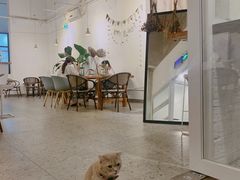 大堂-MIMO CAFE(沙头角店)
