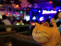 -阿卡贝拉音乐汇(印象城店)