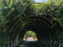-同里国家湿地公园