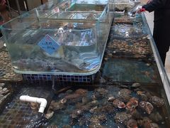-天盛海鲜烧烤大排档·本地小海鲜·牟平腿穗子(幸福店)