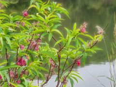 -南国桃园旅游度假区