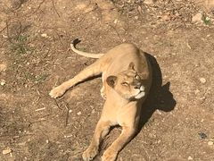 -泉州海丝野生动物世界