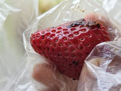 -雪儿钱局泡菜