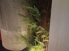 -茗知道茶馆(世博源店)