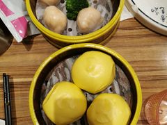 -粤港餐厅(禹州商业广场店)
