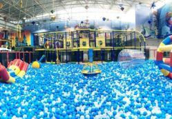 -爱丽丝奇幻乐园