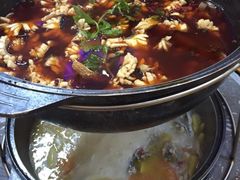 -重庆乌鱼庄·龙滋鲜(青羊大道店)