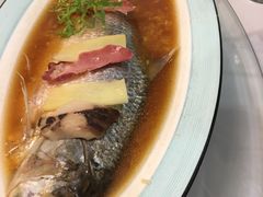 -新名仕新白玉兰餐厅