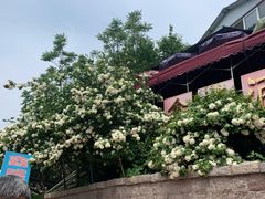 -崂山巨峰游览区