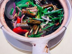 啫啫黄鳝煲-惠食佳(东风大公馆店)