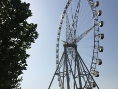 -石家庄市植物园