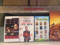 -华美国际影城(旧宫永辉店)