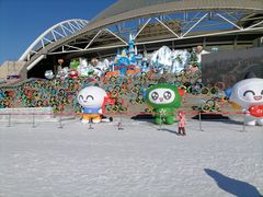 -沈阳奥体冰雪嘉年华