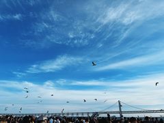-星海广场
