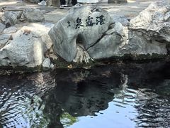-趵突泉景区