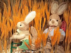 -杭州开元名都大酒店·地中海自助餐厅