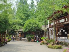 -青城甲(青城山店)