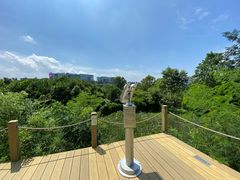 -华侨城湿地公园