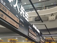 -野人先生Gelato(上海长宁龙之梦店)