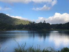 -海南热带雨林国家公园吊罗山景区