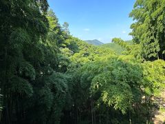 -藏龙百瀑风景区